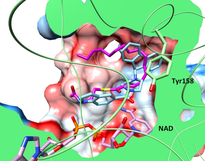 GEQ and THT in InhA binding site