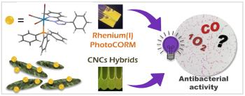 GA photochem 2024