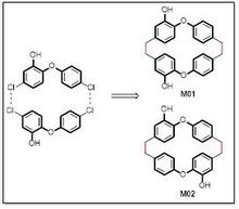 macrocycles