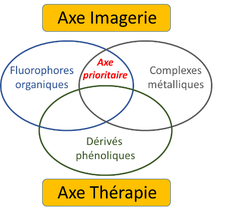 SChéma 1 gene